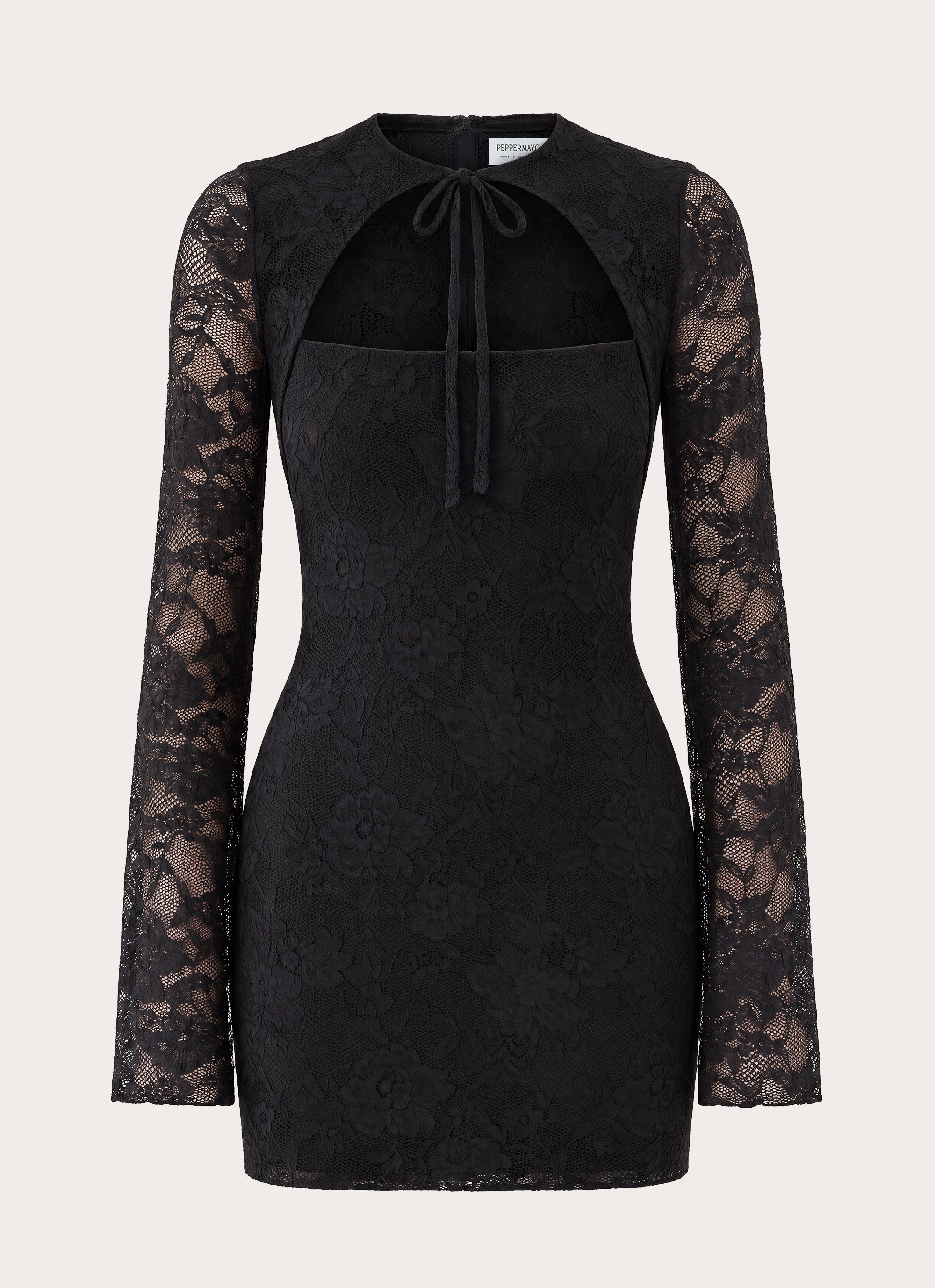 Norelle Lace Mini Dress - Black
